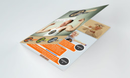 Développement de marque - Studio OnOz - Agence de communication | Gard - Nîmes | Haute-Garonne - Toulouse